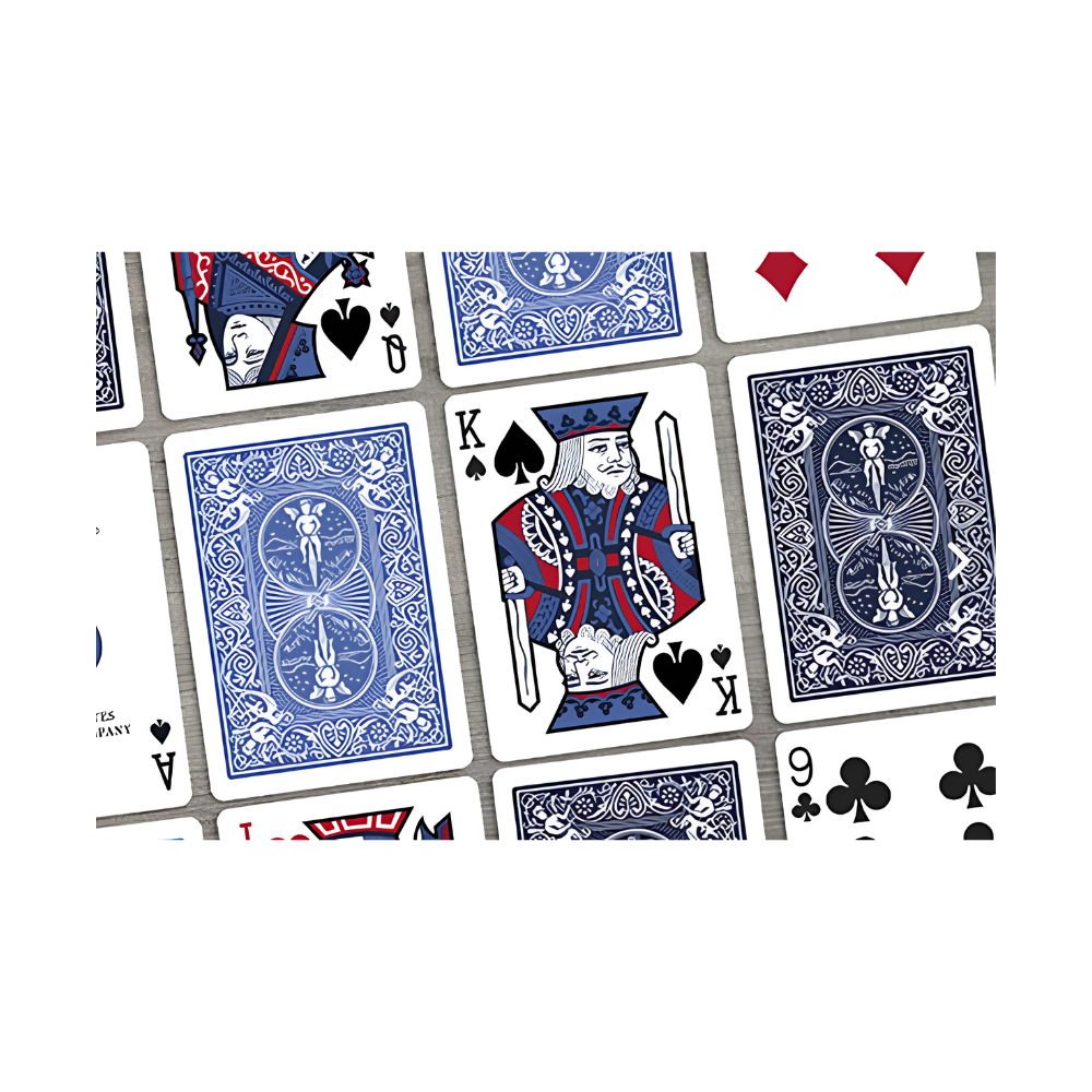 Bicycle Playing Cards - Euchre 2 Decks in 1 (ML)